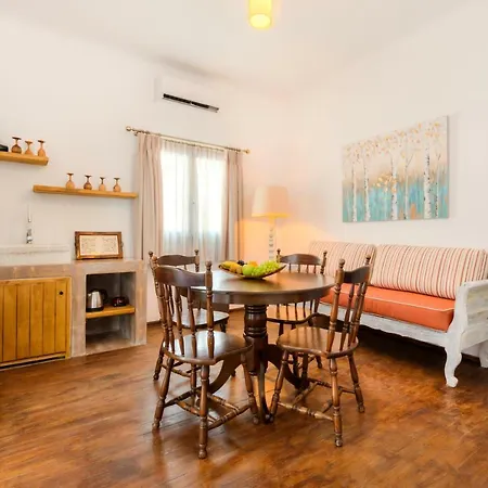 B&B Pasithea 메갈로호리