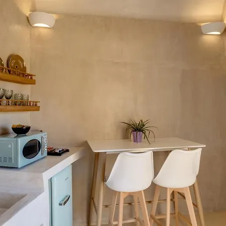 B&B Pasithea 메갈로호리